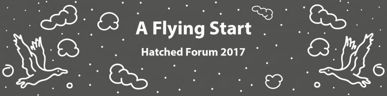 A Flying Start Web Banner